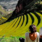 Discover the Sacred Valley of the Incas: A Journey Through History